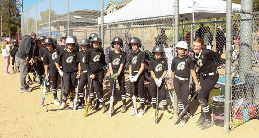 Aspire Home Page Aspire Softball Academy